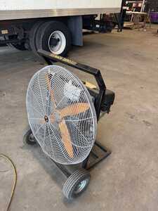 549799998 1125149966381774 1831824230065332674 n 549799998 1125149966381774 1831824230065332674 n